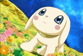  Salamon aus Digimon Frontier